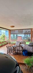 Shamrock Park (D10), Semi-Detached #587554261